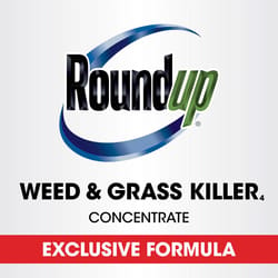 Roundup Weed and Grass Killer Concentrate 16 oz