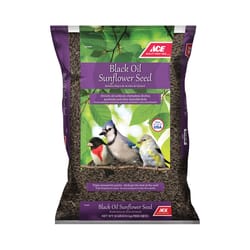 Ace Songbird Black Oil Sunflower Seed Wild Bird Food 10 lb