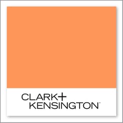 Clark+Kensington Chilled Melon 12D-4