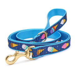 Up Country Blue Ice Cream Nylon Dog Leash