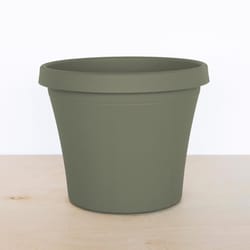 Bloem TerraPot 7 in. H X 8.75 in. W X 8 in. D Resin Traditional Planter Living Green