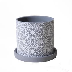 Chive Balter 5 in. D Ceramic Succulent Pot Grey Paisley