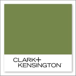 Clark+Kensington Lime Zest 27C-7