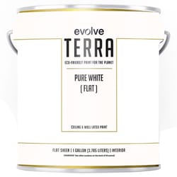 Evolve Terra Flat Pure White Interior Latex Wall Paint Interior 1 gal