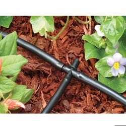 Rain Bird 1/4 in. Barbed Drip Irrigation Tee 30 pk