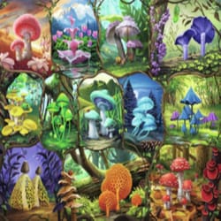 Ravensburger Beautiful Mushrooms Puzzle Multicolored 1000 pc