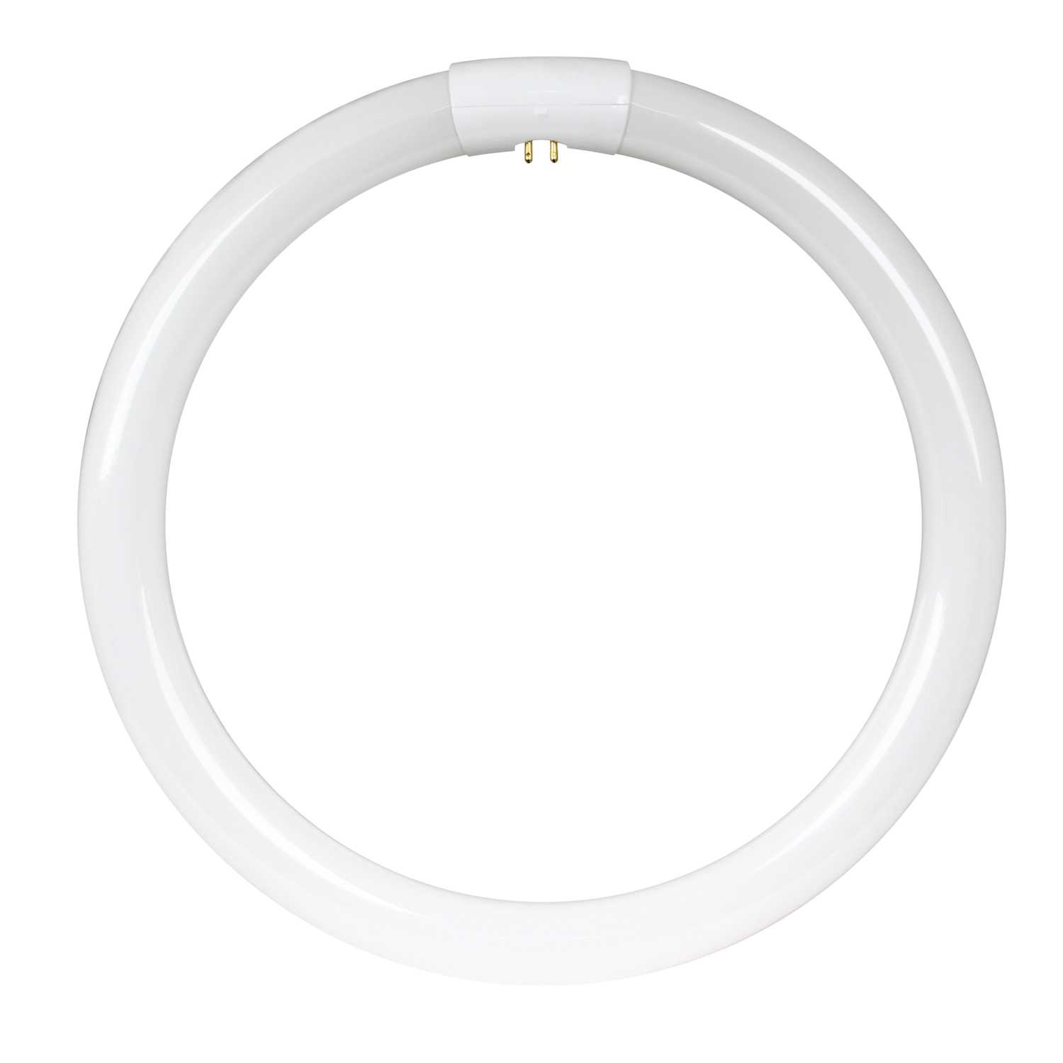 FEIT Electric 32 watts T9 12 in. L Fluorescent Bulb Warm White Circular