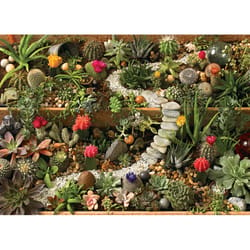 Cobble Hill Succulent Garden Jigsaw Puzzle 1000 pc