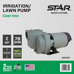 Star Water Systems 2 HP 4309 gph Cast Iron Sprinkler Pump