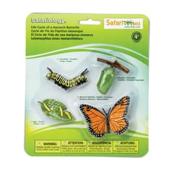 Safari Ltd. Safariology Butterfly Life Cycle Multicolored