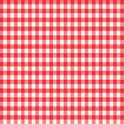 Magic Cover Red/White Checkered Vinyl Disposable Tablecloth 70 in. L X 52 in. W