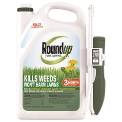 Roundup Weed Killer RTU Liquid 1 gal