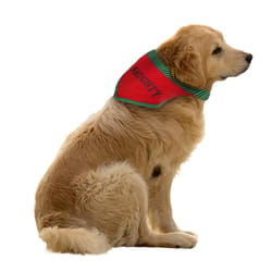 Dyno Bandana Pet Costume 2 pk