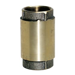 Water Source Brass 1-1/4 in. Check Valve