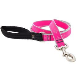 LupinePet Reflective Pink Diamond Nylon Dog Leash