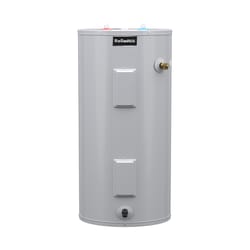 Reliance 30 gal 4500 W Electric Water Heater