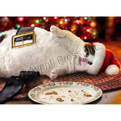 Avanti Christmas Cat In Santa Hat Eating Cookies Greeting Card Paper 4 pc