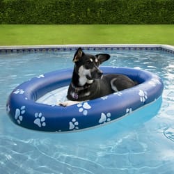 PoolCandy Blue PVC Inflatable Pet Float