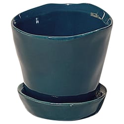 Chive Tika 3 in. D Ceramic Succulent Pot Spruce