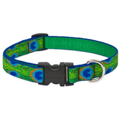 LupinePet Original Designs Multicolor Tail Feathers Nylon Dog Adjustable Collar
