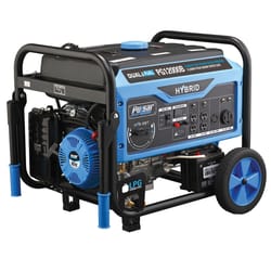 Pulsar 120/240 V Gas/LP Portable Generator 9500 W