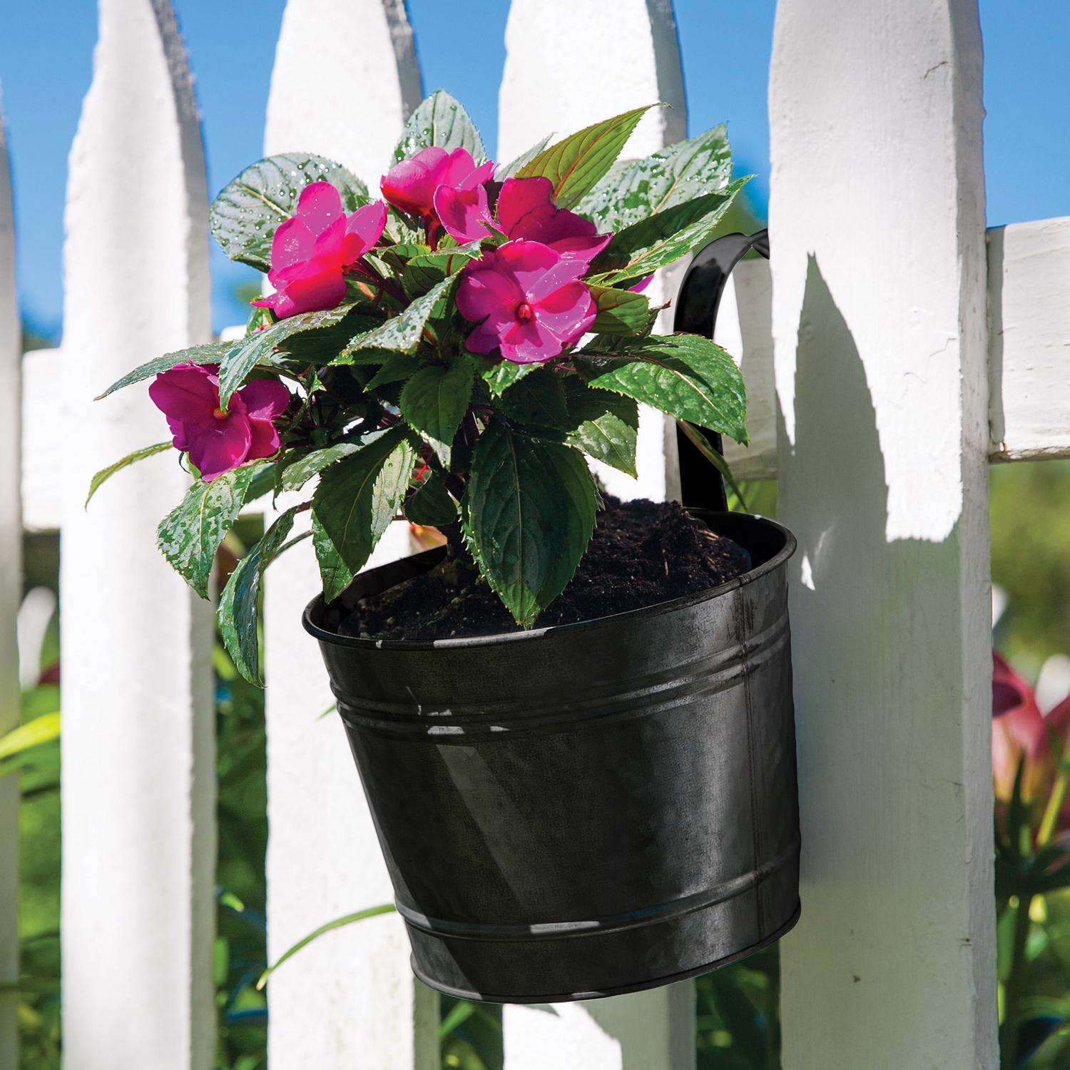 Panacea 9 in. H X 14 in. W X 14 in. D Steel English Wide Band Hanging Basket Black/Brown