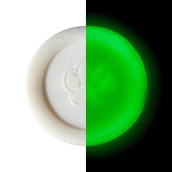 West Paw Zogoflex White Plastic Zisc Disc Frisbee Small 1 pk