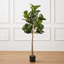 Glitzhome Green Plastic 61 in. H X 60 in. L X 24 in. W Fiddle Leaf Fig Artificial Potted Plant
