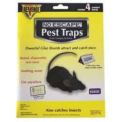 Bonide Revenge Non-Toxic Bait Tray Glue Pad For Mice and Rats 4 pk