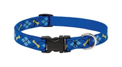 Lupine Pet Original Designs Multicolor Dapper Dog Nylon Dog Adjustable Collar