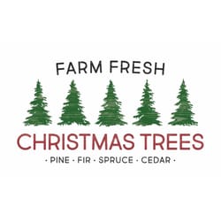 P Graham Dunn Multicolored Farm Fresh Christmas Trees Table Decor 17 in.