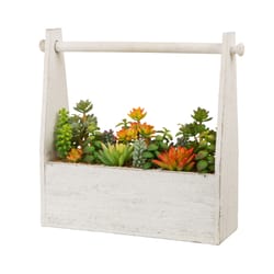 Glitzhome White Wood 13.75 in. H X 14.75 in. L X 4.5 in. W Handled Wooden Box