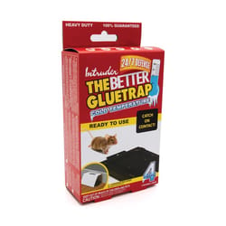 Intruder The Better Gluetrap Cold Temperature Small Glue Trap For Insects/Mice/Spiders 4 pk