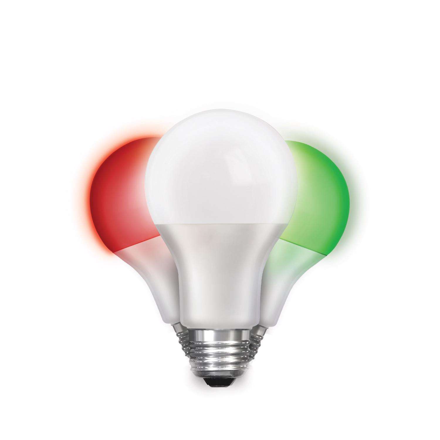 Red Green Christmas Party Lightbulbs Boat Lights Colored Bulbs Beach Home Decor Red Green Christmas Party Lightbulbs Boat Lights Colored Bulbs Beach Home Decor