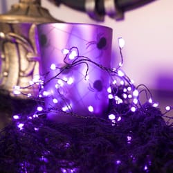 Celebrations Purple 250 ct 3 in. LED Prelit Connectable Big Seed Cluster Halloween Lights