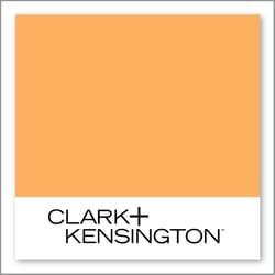 Clark+Kensington Mango Sorbet 15C-5