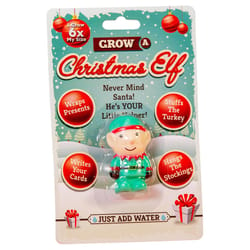 Scobie Boxer Gifts Grow A Christmas Elf Toy 1 pk