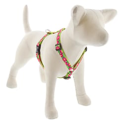 LupinePet Original Designs Multicolored Petunias Nylon Dog Harness Small