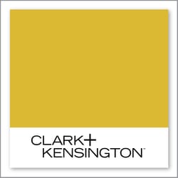 Clark+Kensington Bergamot 22D-4