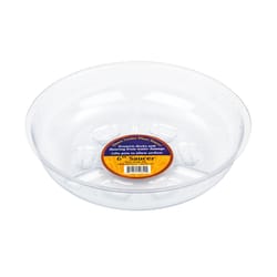 Down Under 6 in. D Plastic Plant Saucer Clear