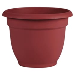 Bloem Ariana 5.1 in. H X 6 in. D Resin Planter Burnt Red
