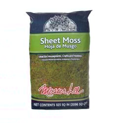 Mosser Lee Organic Green Sheet Moss 325 sq in