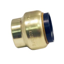 Apollo Tectite Push to Connect 3/4 in. PTC in to Brass Cap