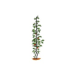 Bosmere 6 ft. H Green Metal Plant Support