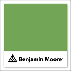 Benjamin Moore Pleasant Grove 552