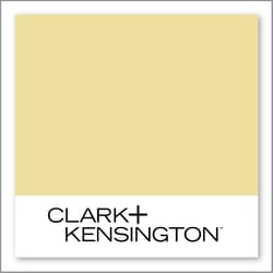 Clark+Kensington Salted Margarita 21C-3