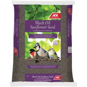 Ace  Assorted Species  Black Oil Sunflower Wild Bird Food  Black Oil Sunflower Seed  20 lb. 