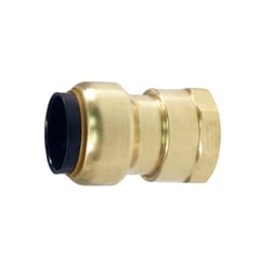 Apollo Tectite Push to Connect 3/4 in. PTC in to X 3/4 in. D FPT Brass Adapter