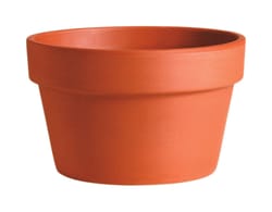 Deroma 3.3 in. H X 3.3 in. D X 4.3 in. D Clay Azalea Planter Terra Cotta