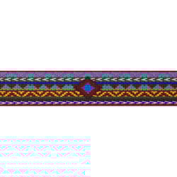 LupinePet Original Designs Multicolor El Paso Nylon Dog Leash